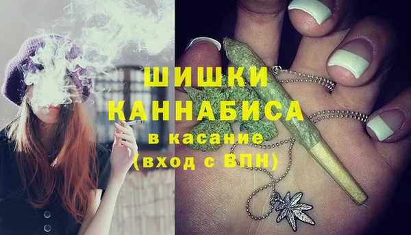 ECSTASY Бронницы