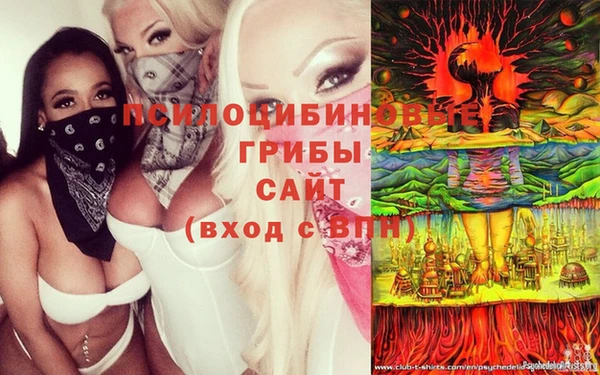 мет Верея