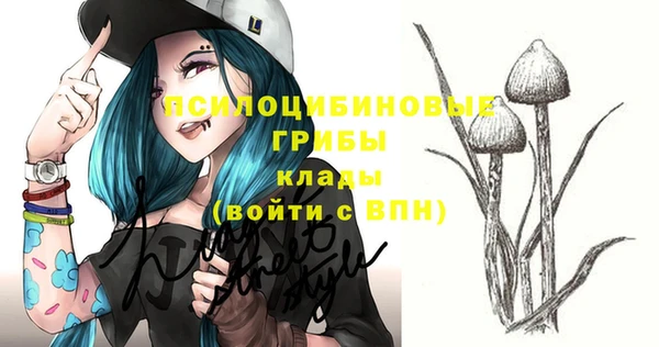 спиды Верхний Тагил